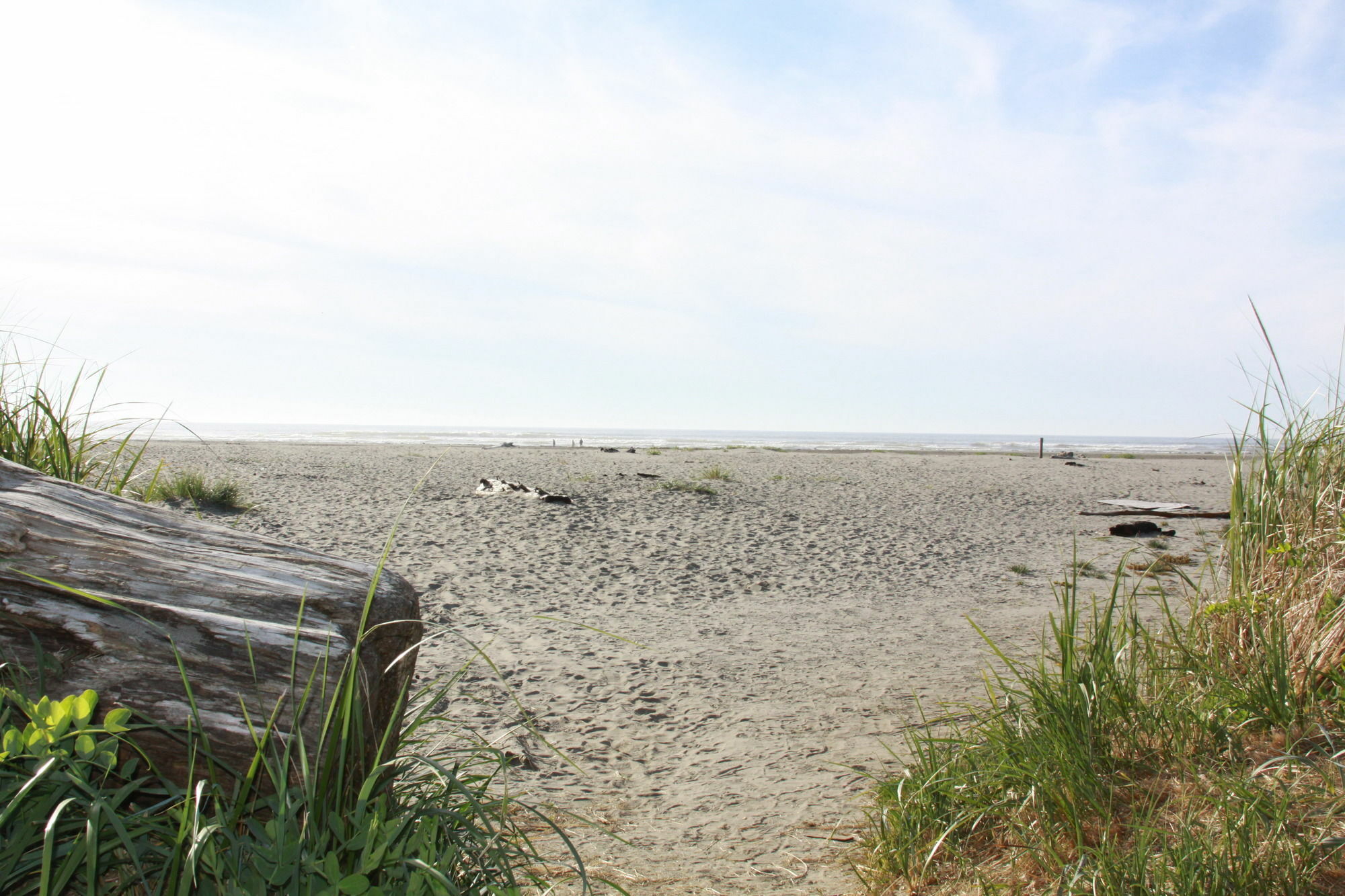Quinault Beach Resort & Casino オーシャン・シティー エクステリア 写真